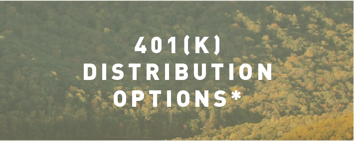 401_k_  Distribution Options_.png